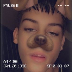 Meet your Posher, Peter